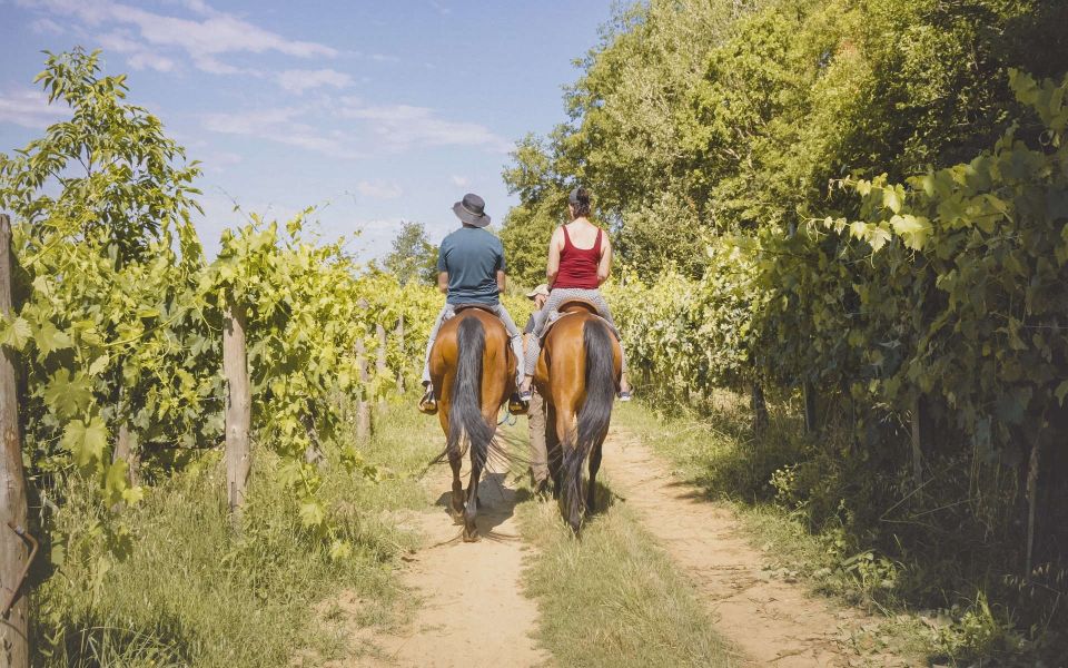 Valdichiana: Horseback Riding Tour With Tuscan Picnic - Frequently Asked Questions