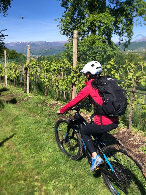 Valdobbiadene: Bike Rental and Prosecco Tasting - Important Guidelines to Follow