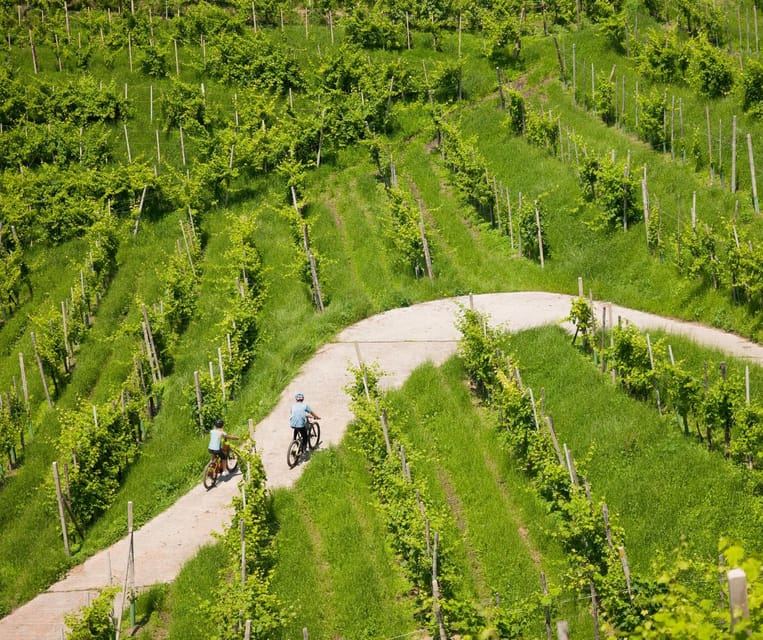 Valdobbiadene: E-Bike Tour on the Prosecco Hills - Key Points