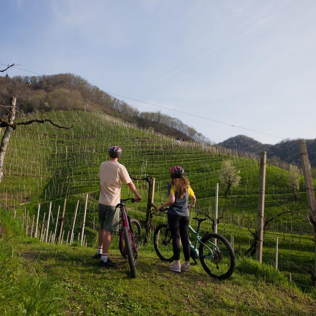 Valdobbiadene: E-Bike Tour on the Prosecco Hills - Discovering the Rich Winemaking Tradition