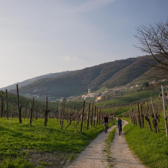Valdobbiadene: E-Bike Tour on the Prosecco Hills - Ask Away