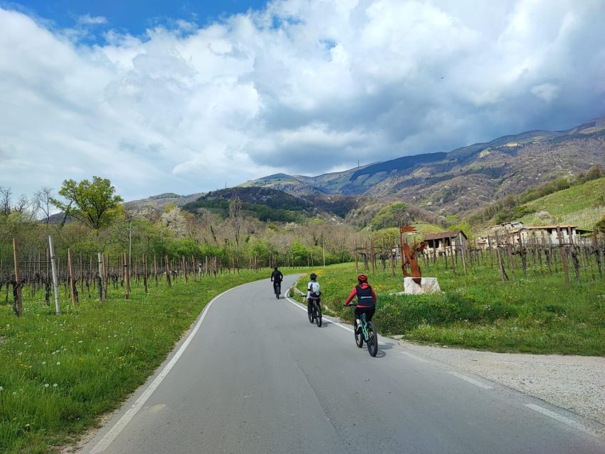 Valdobbiadene Hills: E-Bike Tour With Food&Wine Tasting - Duration and Group Size