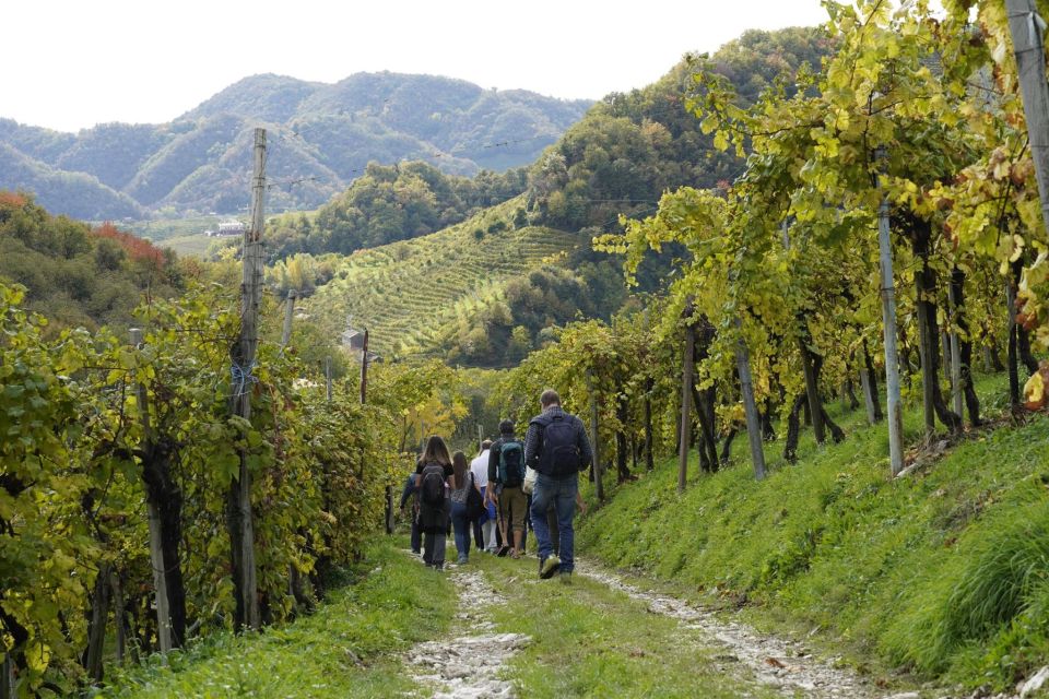 Valdobbiadene Hills: E-Bike Tour With Food&Wine Tasting - Frequently Asked Questions