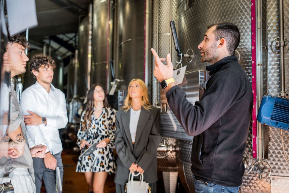 Valdobbiadene: Prosecco Superiore Wine Trip and Food Tasting - Accessibility Features