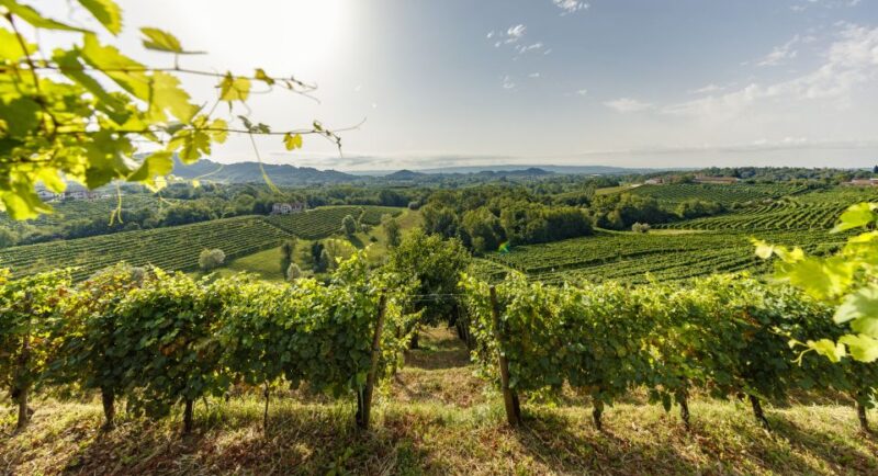 Valdobbiadene: Prosecco Tasting Experience - Discovering Local Products and Flavors