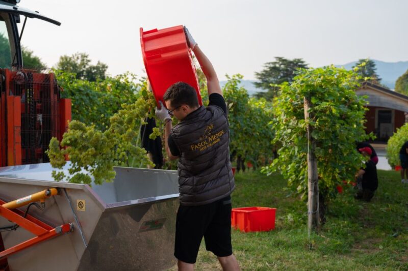 Valdobbiadene: Prosecco Tasting Experience - Immersive Scenic Experience in the Valdobbiadene Hills
