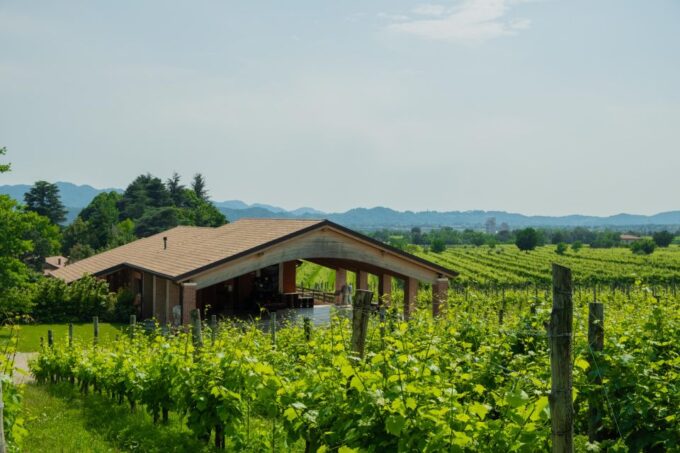 Valdobbiadene: Prosecco Tasting Experience - Customer Feedback and Ratings