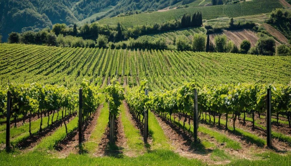 Valdobbiadene: Winery Tour With Wine and Food Tasting - Contact Information