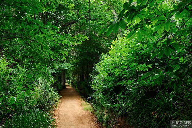 Vale Paraiso - Paradise Valley Walk - Key Points