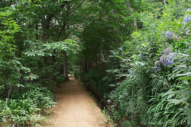 Vale Paraiso - Paradise Valley Walk - A Detailed Look at the Vale Paraiso - Paradise Valley Walk