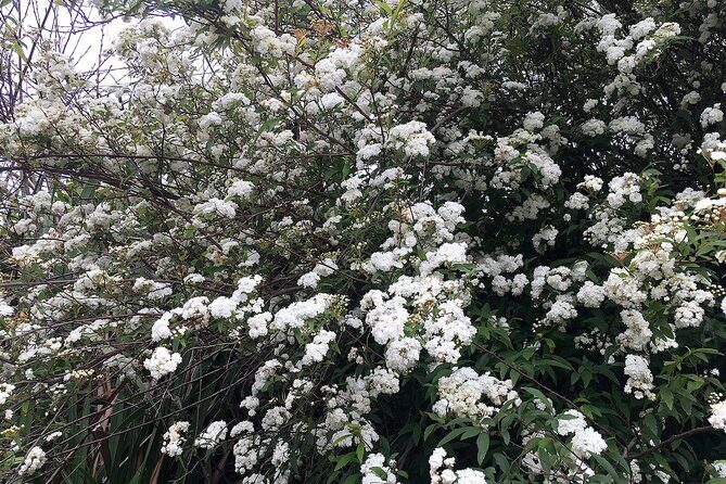 Vale Paraiso - Paradise Valley Walk - The Sum Up