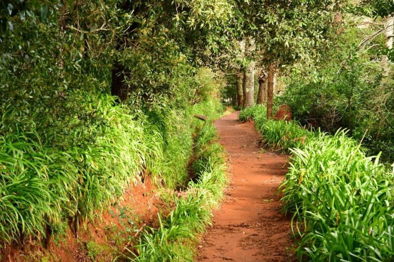 Vale Paraíso Rochão Madeira Island Walk - FAQ
