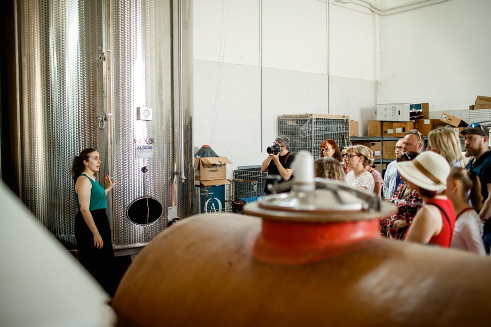 Valeggio: Perlage D'autore, Bubbles of Excellence and Guided Tour - Experience Overview