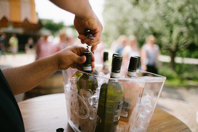 Valeggio: Sorsi dEstate, 3 young wines with guided tour - A Detailed Look at the Experience