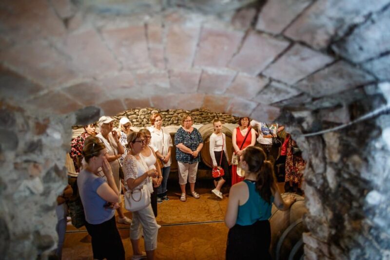 Valeggio: Summer Sips - 3 young wines with guided winery tour. - A Closer Look at the Valeggio Summer Sips Tour  