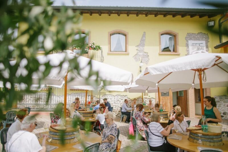 Valeggio: Summer Sips - 3 young wines with guided winery tour. - Who Will Enjoy This Experience Most?  