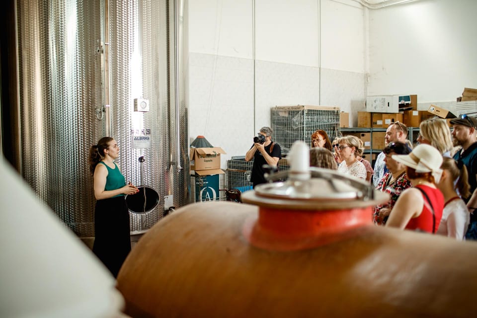 Valeggio: the Essence of Oak: Guided Tour Among Wines Aged in Wood - Accommodating Dietary Needs