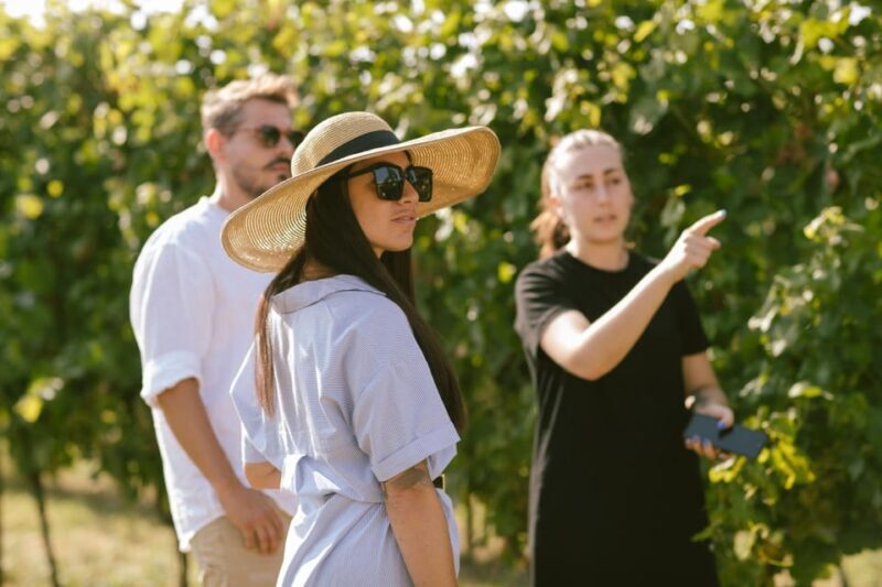 Valeggio: The Soul of the Territory in 5 Wines and Guided Winery Tour - Key Points