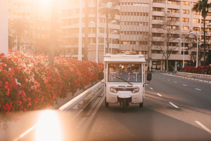 Valencia 1 hour by TukTuki: Essential and Private Tour - The Sum Up