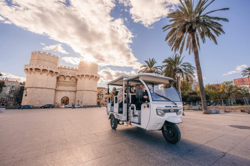 Valencia: 2-hour City Highlights Guided Tuk-Tuk Tour - Why Choose a Tuk-Tuk Tour in Valencia?