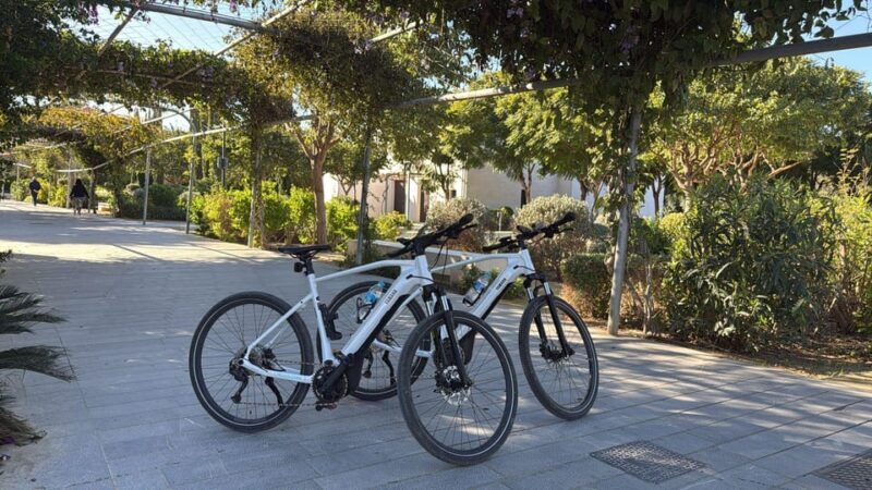 Valencia all in one: beaches, old town & city arts by E-bike - An Overview of the Experience