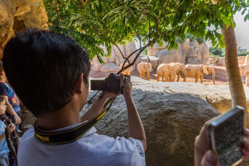 Valencia: Bioparc Valencia Admission Ticket - Visitor Feedback