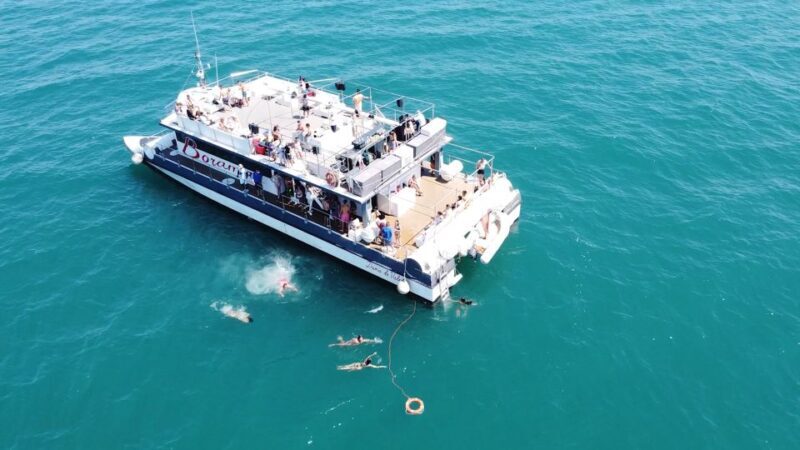 Valencia: Catamaran Cruise with Stop for Swimming - Key Points