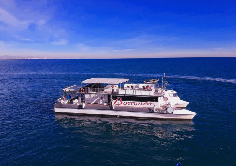 Valencia: Catamaran Cruise with Stop for Swimming - A Practical Guide to the Valencia Catamaran Cruise