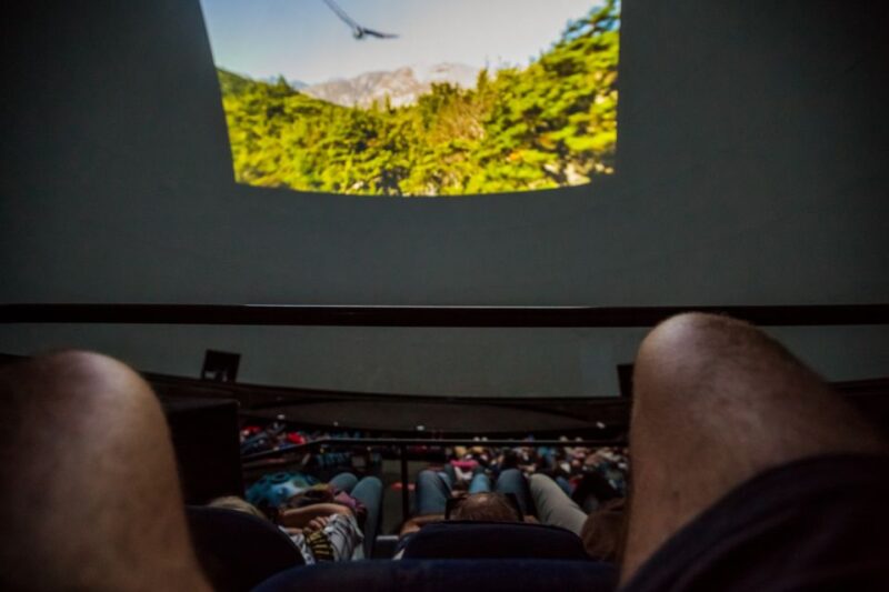 Valencia: City of Arts and Science 3D Movie at Hemisfèric - Movie Selections and Showtimes