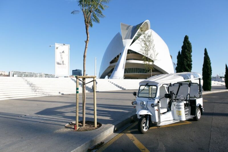 Valencia: Complete Tuk-Tuk Tour Around the City - Customer Feedback