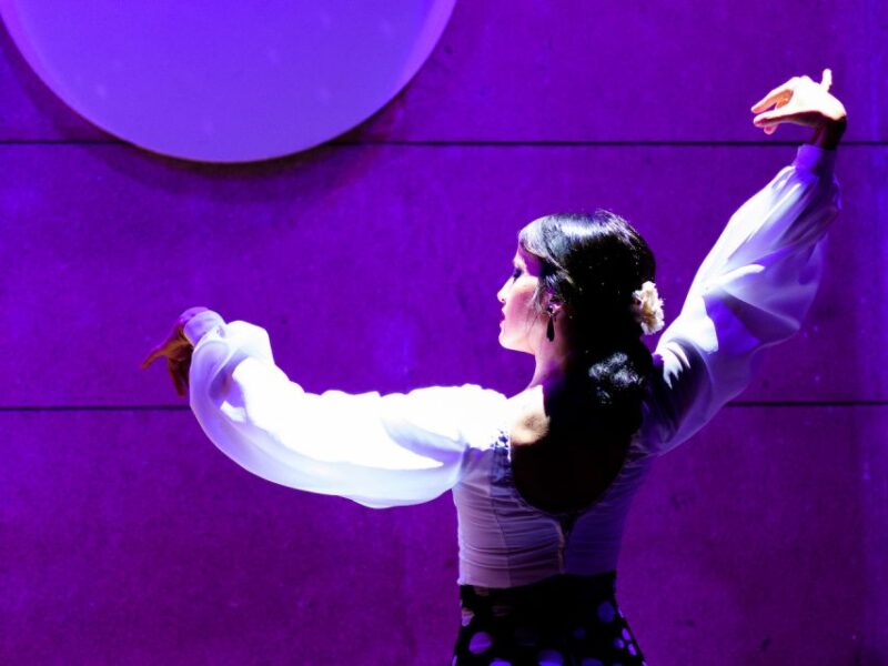 Valencia: Flamenco Show at La Linterna - Venue Atmosphere