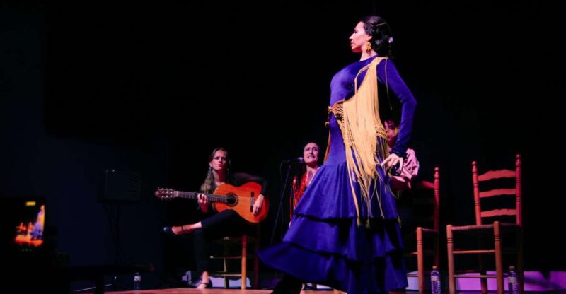 Valencia: Flamenco Show at Tablao La Reina - Good To Know
