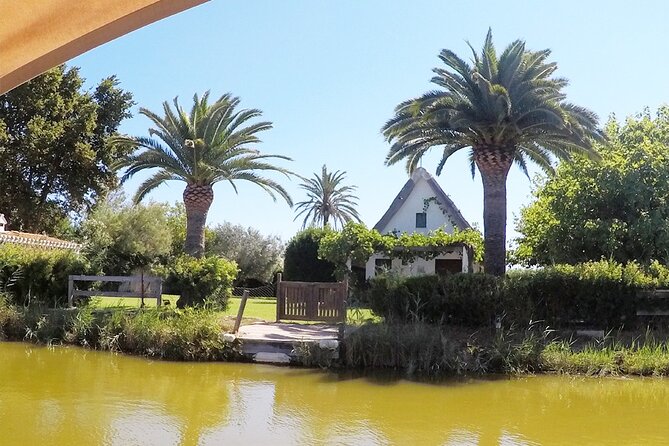 Valencia: Jeep Tour Albufera Park - Capturing Memories