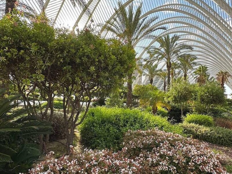 Valencia: Medieval City Guided Walking Tour - Authentic Experiences and Authentic Sights