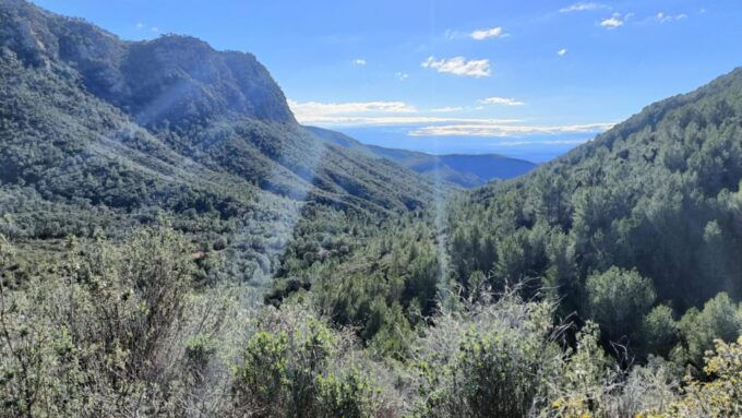 Valencia: Mountain E-Bike Tour + Transfers (Stunning Views) - Benefits of Exploring Valencia by Electric Bike