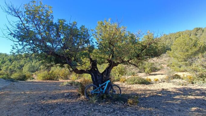 Valencia: Mountain E-Bike Tour + Transfers (Stunning Views) - Frequently Asked Questions