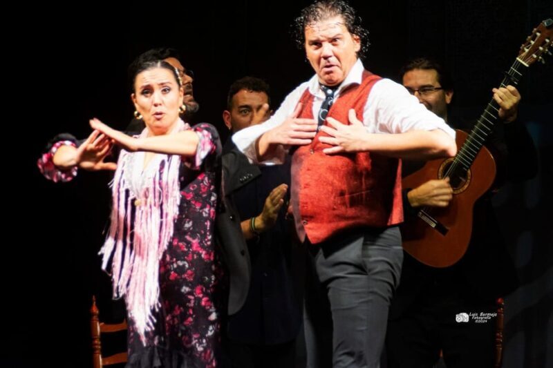 Valencia: New Flamenco Show in the Most Emblematic Theater of the City - A Closer Look at the Flamenco Experience in Valencia