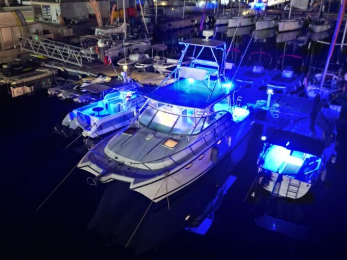 Valencia: Night Cruise With Free Drink - What to Expect Onboard