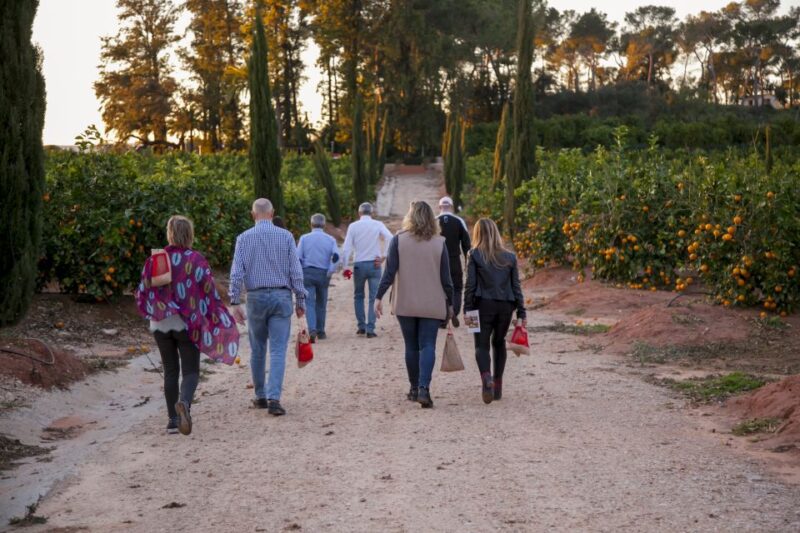 Valencia: Orange Farm and Orchard Trip With Tastings - Good To Know