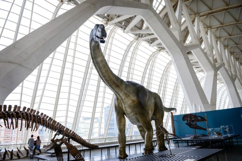 Valencia: Principe Felipe Science Museum Entry Ticket - Customer Reviews and Ratings