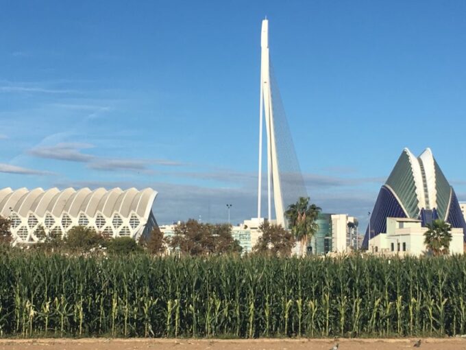 Valencia: Private 4-Hour Shore Excursion - Historic Old Town