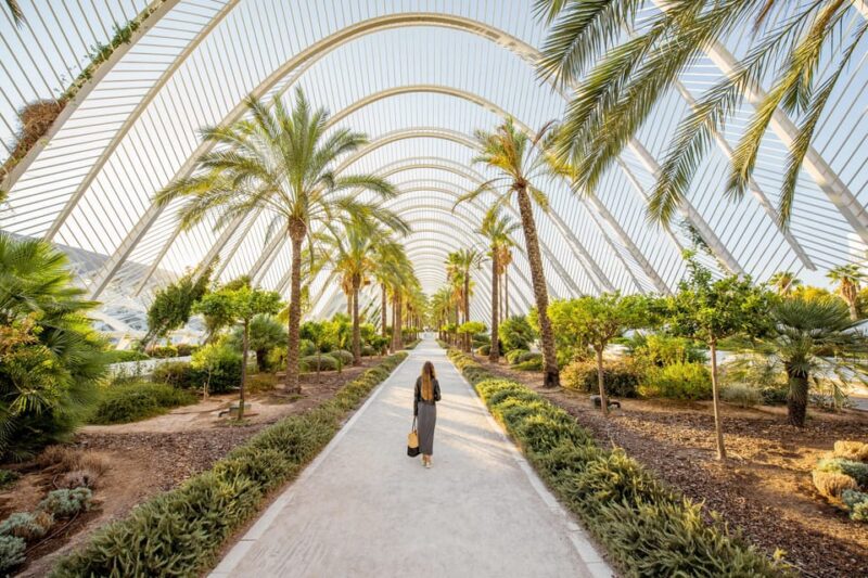 Valencia: Private Brunch Tour With Basic Spanish Learning - Customer Reviews and Feedback