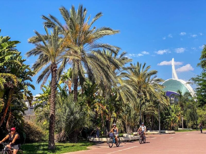 Valencia: Private City Tour on Bike With Drink Stop - Customer Feedback