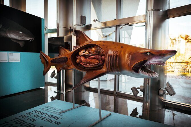 Valencia Private Family Tour - FAQ