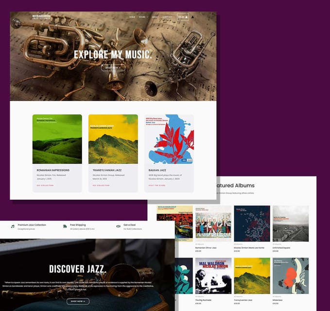 Valencia Professional Web Design Services on WordPress - Customization and Branding