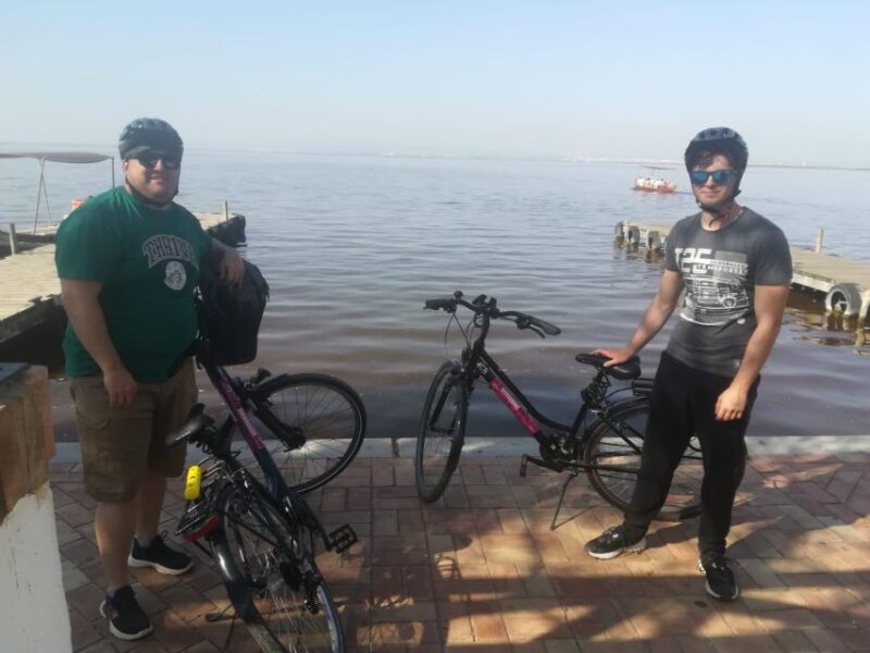 Valencia: Road to La Albufera Guided Bike Tour - Key Points