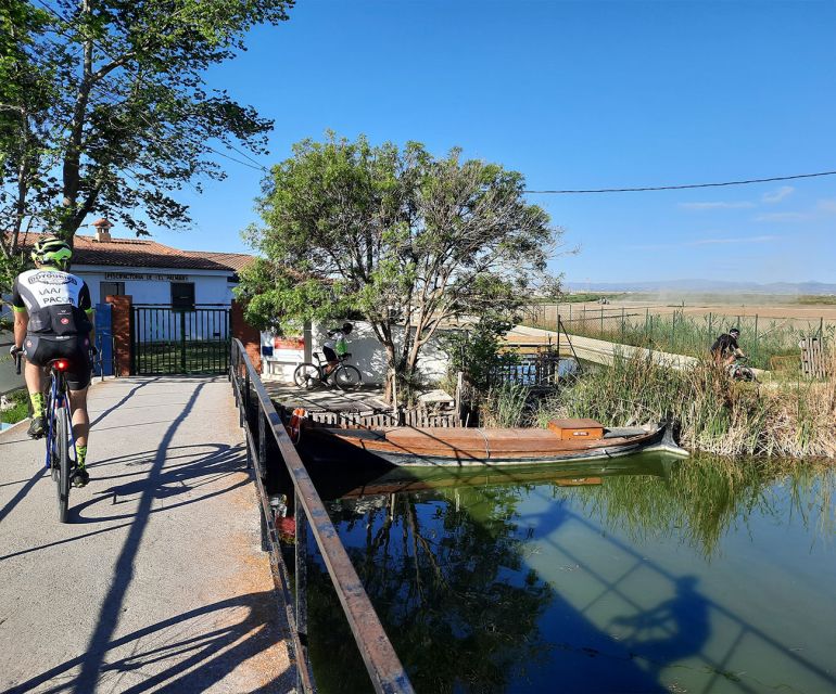 Valencia: Road to La Albufera Guided Private Bike Tour - Key Points
