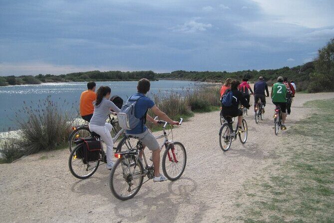 Valencia: Road to La Albufera Private Bike Tour - Frequently Asked Questions (FAQs)