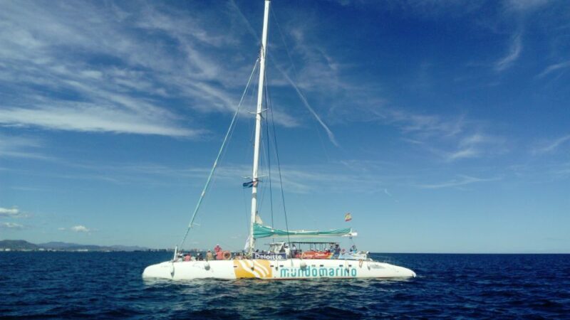 Valencia: Sailing Catamaran Cruise With Valencian Lunch - Relaxation Options