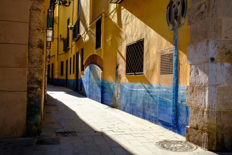 Valencia, Spain: Excellent Private Walking Photography Tour - Key Points